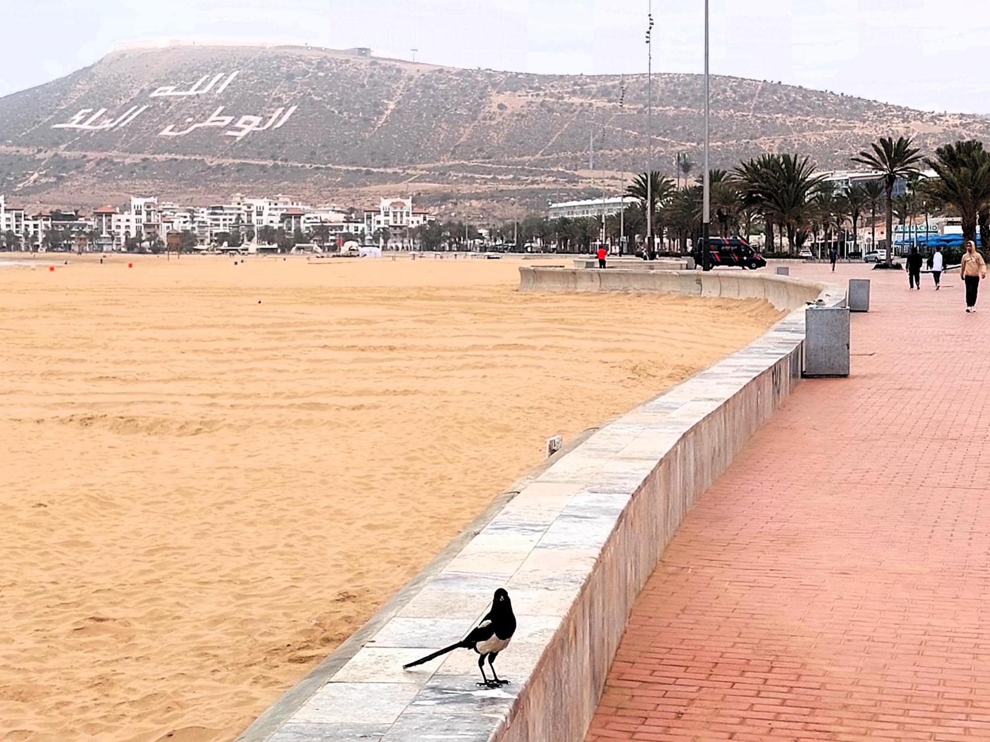 Agadirbay Ikenparc Centre Piscine , Et A 5mnts A Pieds Agadir